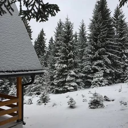 Lodge Zlatair Chalets